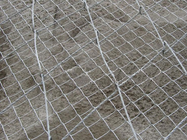 SPIDER�g���W